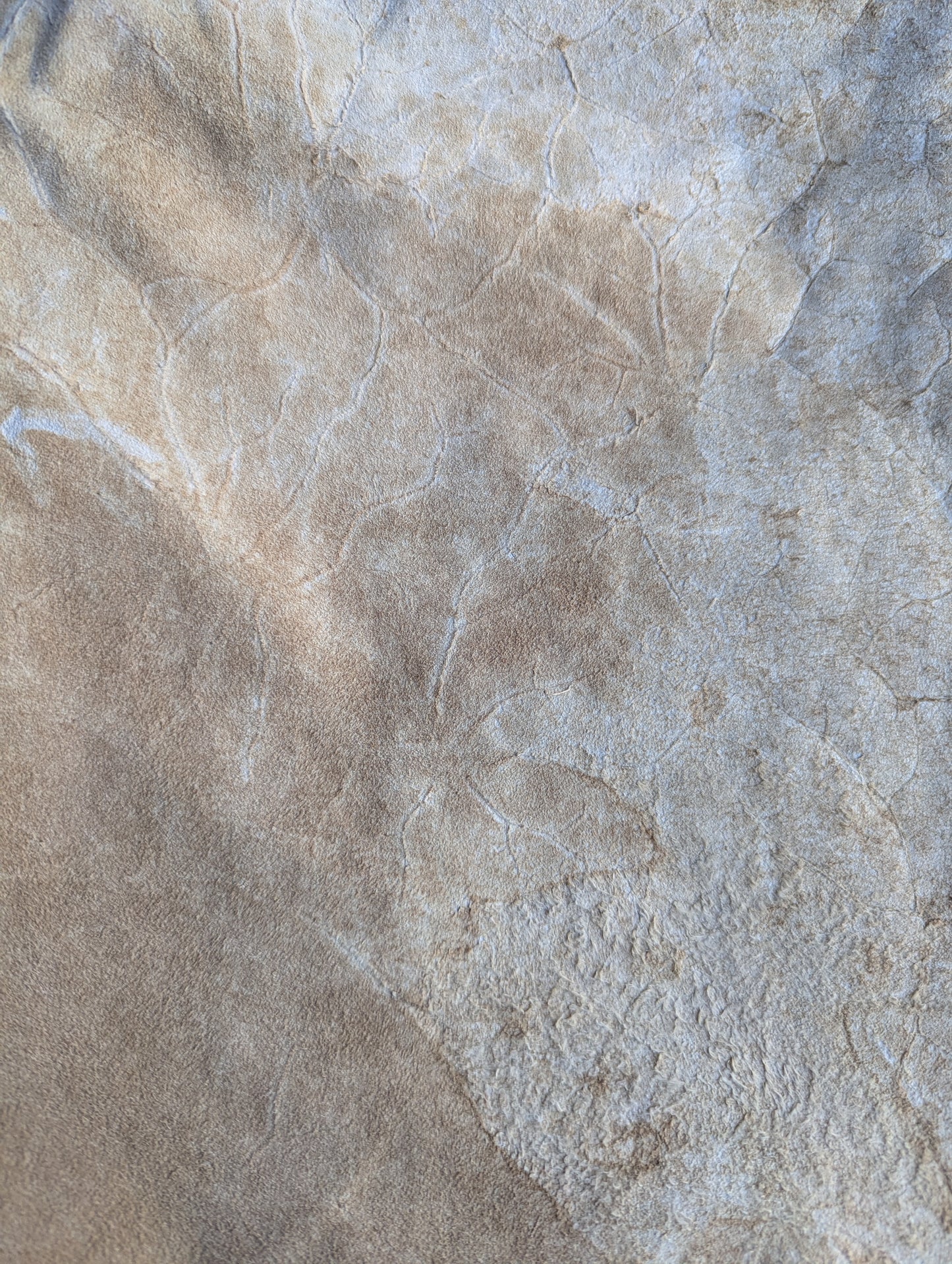 Vintage Scully Suede Leather Pants