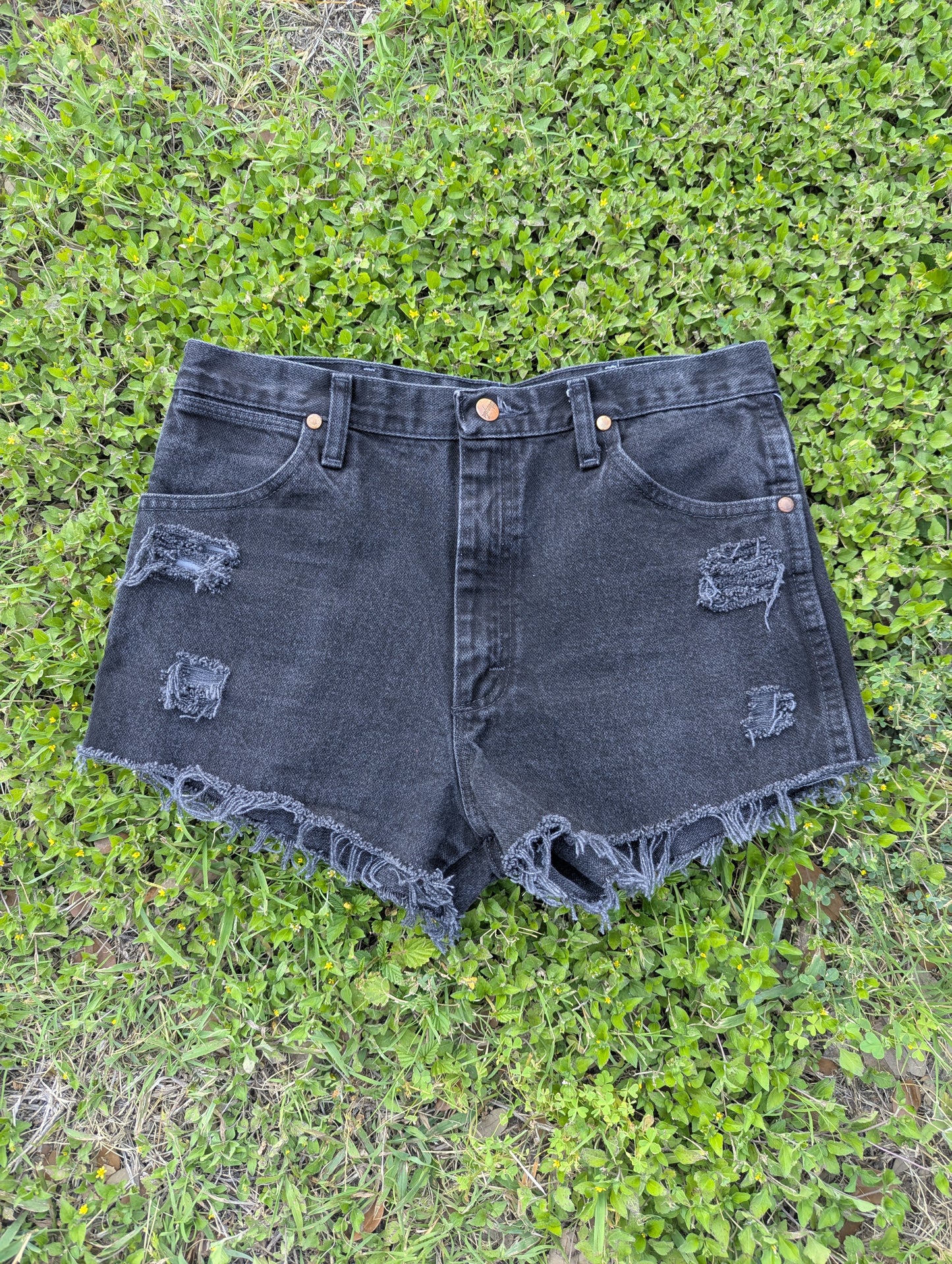 Wrangler High Waist Black Denim Cutoff Shorts